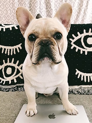 Doggone it! Always blog what you know and blog from the heart.