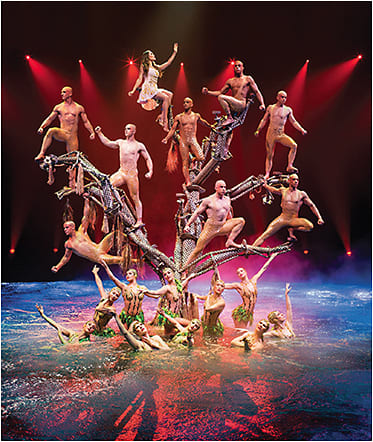 Le Rêve – The Dream 
COURTESY OF TOMASZ ROSSA