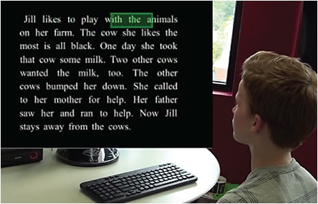 RIGHTEYE, LLC. / Reading Test