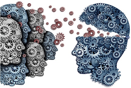 LIGHTSPRING / SHUTTERSTOCK.COM