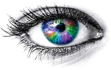 ALEKSANDAR MIJATOVIC / SHUTTERSTOCK.COM