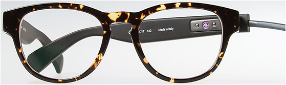 Level from VSP Global with charging cable