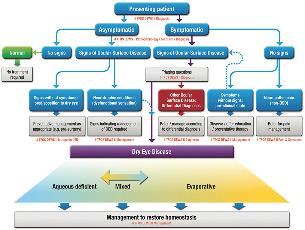 Figure 1. TFOS DEWS II algorithmReprinted from The Ocular Surface, 2017 Jul;15(3):276-283, Craig JP, Nichols KK, Akpek EK, et al. TFOS DEWS II Definition and Classification Report. doi: 10.1016/j.jtos.2017.05.008, with permission from Elsevier.