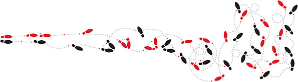 kiantee/stock.adobe.com