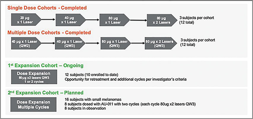 Figure 3. Phase 1b/2 study design.
IMAGE COURTESY OF AURA BIOSCIENCES