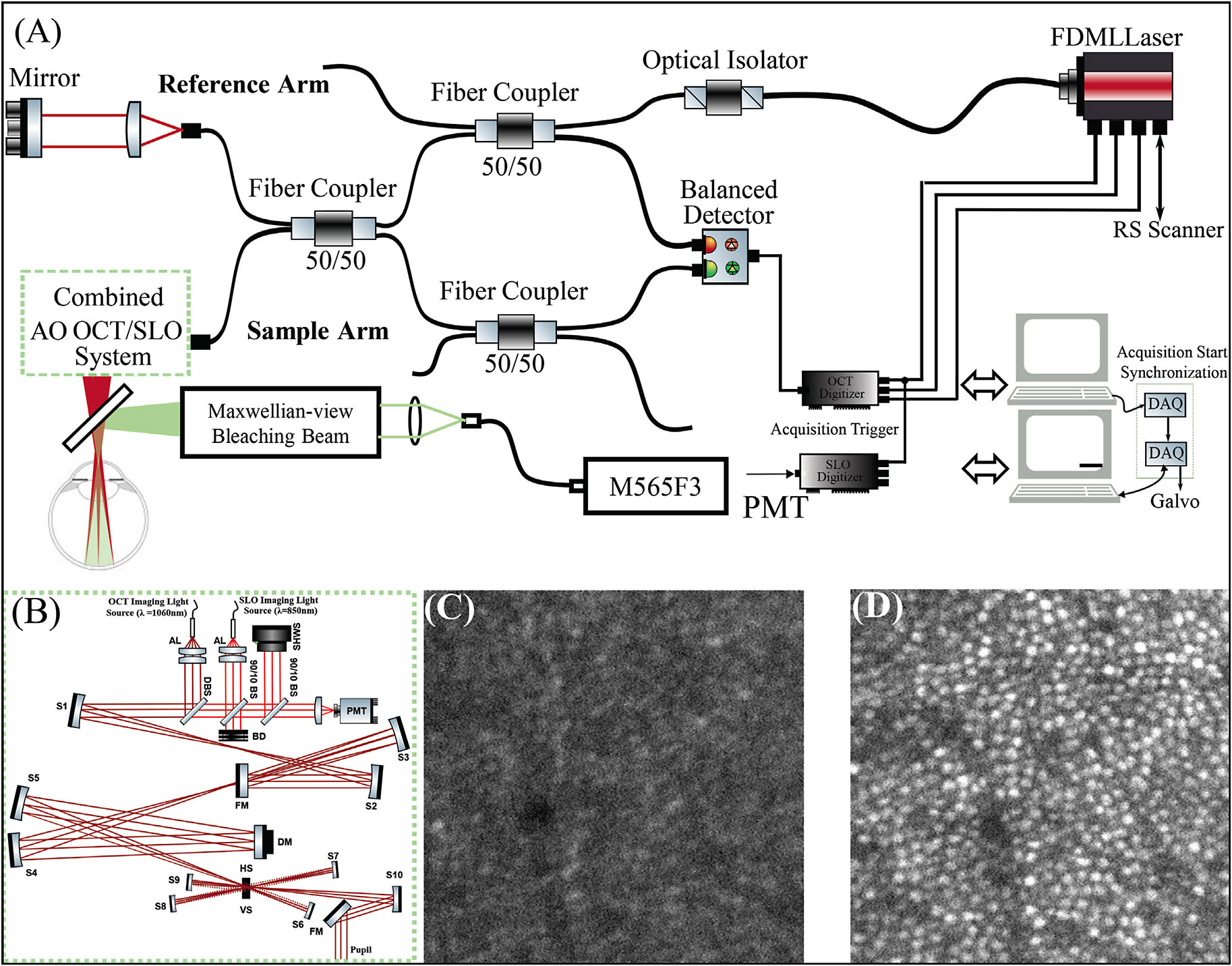 Figure 1. Schematic of the adaptive optics (AO) scanning laser ophthalmoscopy (SLO) optical coherence tomography imaging system integrated with a Maxwellian-view optical system for bleaching photoreceptors (A).8 An expanded view of the AO scanning system (B). Acquired SLO images at 2° temporal retina while the AO loop was turned off (C) and on (D). Figure adapted with permission from The Optical Society.8 DM, deformable mirror; SHWS, Shack–Hartmann wavefront sensor; AL, achromatic lens; S, spherical mirror; FM, flat mirror; BS, beam splitter; DBS, dichroic beam splitter; HS, horizontal scanner; VS, vertical scanner; BD, beam dump; OI, optical isolator.