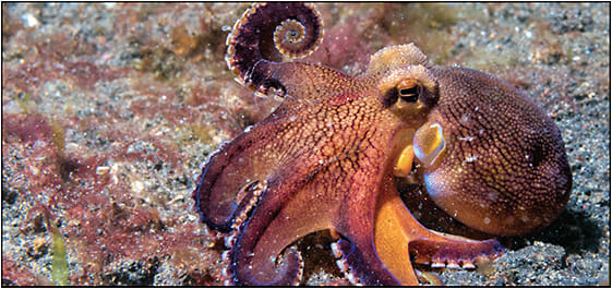 ANDREA IZZOTTI / STOCK.ADOBE.COM