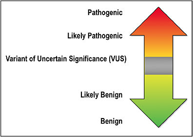 Figure 2. Genetic test interpretation, a ranked system from the American College of Medical Genetics and Genomics.20