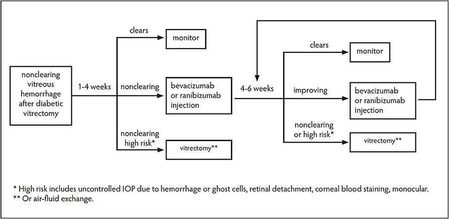 Figure 1. Algorithm for management of postoperative recurrent diabetic vitreous hemorrhage.