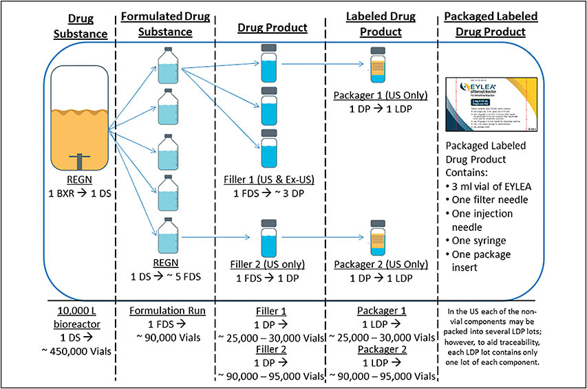Figure 2. Overview of Eylea manufacturing process in the United States. The figure shows the sequence of manufacturing steps taken from one lot of Eylea drug substance to approximately 450,000 Eylea packaged labeled drug product.
NOTE: BXR, BIOREACTOR; DP, DRUG PRODUCT; DS, DRUG SUBSTANCE; FDS, FORMULATED DRUG SUBSTANCE; LDP, LABELED DRUG PRODUCT; REGN, REGENERON.