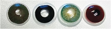 Figure 1. (left to right) Computer-generated lens with clear pupil, black underprint with clear pupil, hand-painted lens with clear pupil, and dark brown translucent tinted lens with black pupil.