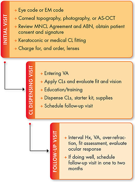 Figure 1. Care process summary.