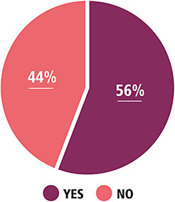 Figure 4. Have you received a salary increase in the last year?