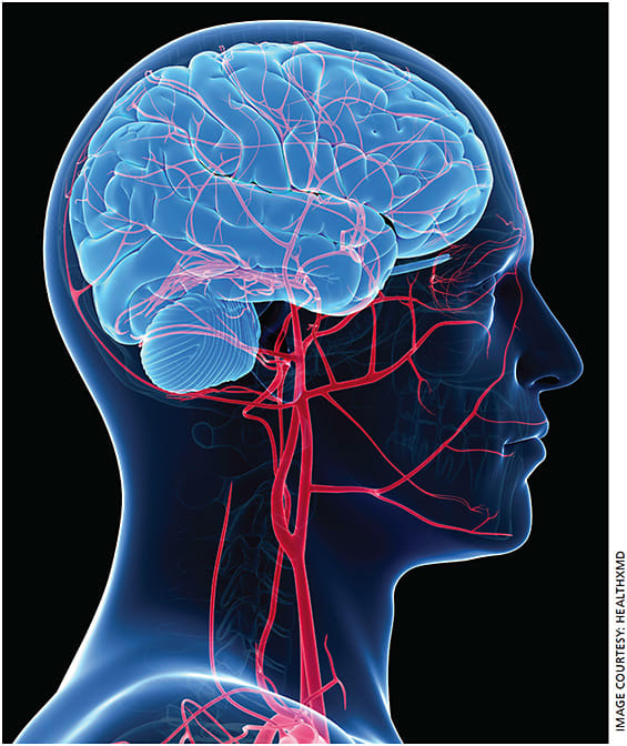 HealthxMD’s transcranial doppler testing measures blood flow velocity and direction to identify patients at high risk for intracranial vascular disease and can detect diabetic retinopathy and various glaucomas.