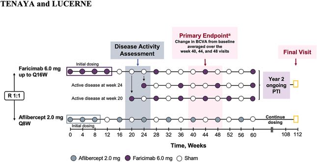 Tenaya/Lucerne trial design where patients were randomized 1:1 to the two treatment arms.17 Image courtesy: Genentech