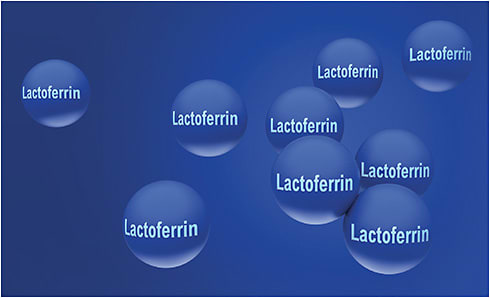 Lactoferrin is found in many different mucosal secretions, including tears.clusterx/stock.adobe.com