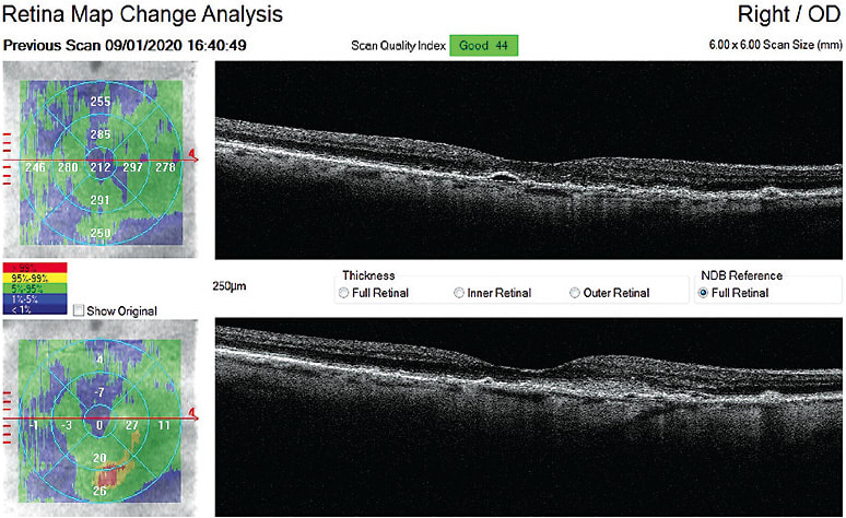 Images courtesy of Dr. Legge.