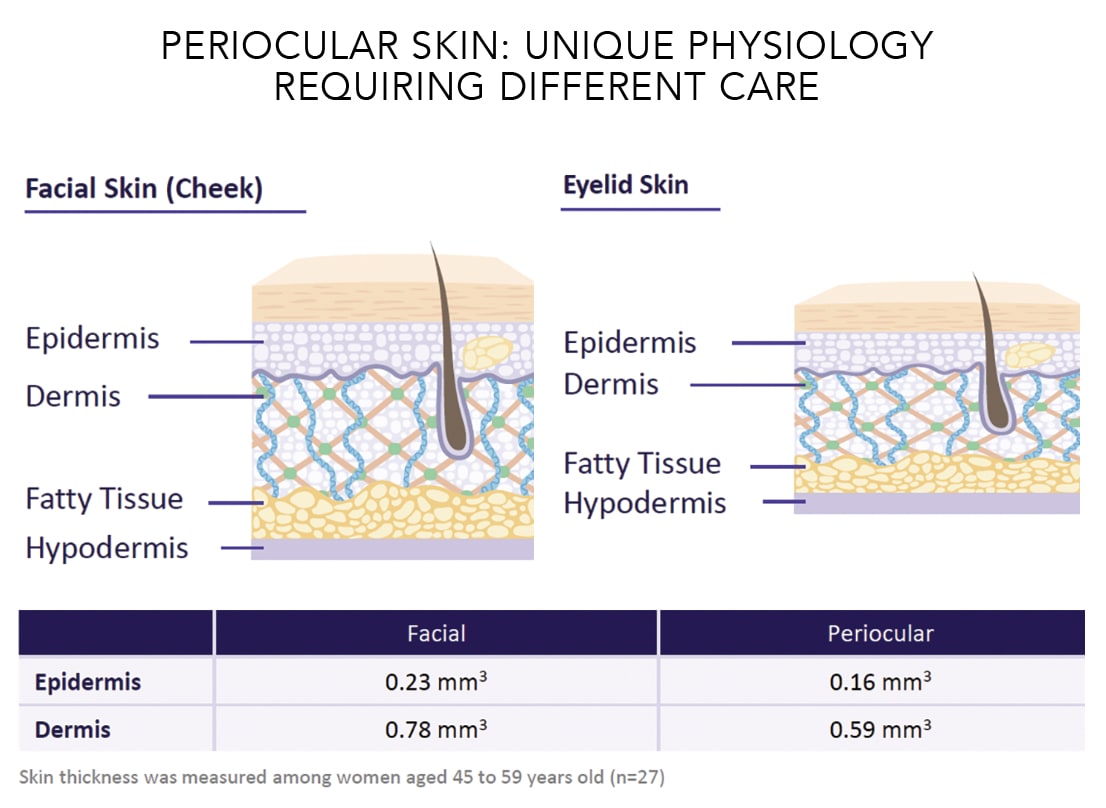 Periocular skin chart.