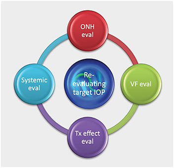 Note these items to routinely develop a dynamic target IOP range. Graphic is courtesy of Dr. Austin Lifferth.