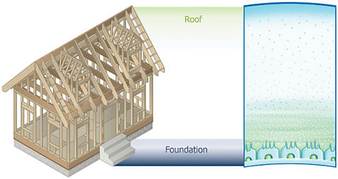 Figure 2. A house analogy is used to explain structure to patients.