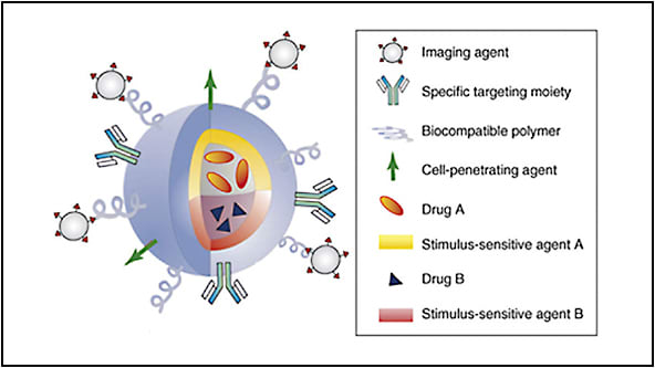 Figure 1. Example of a multifunctional nanoparticle.