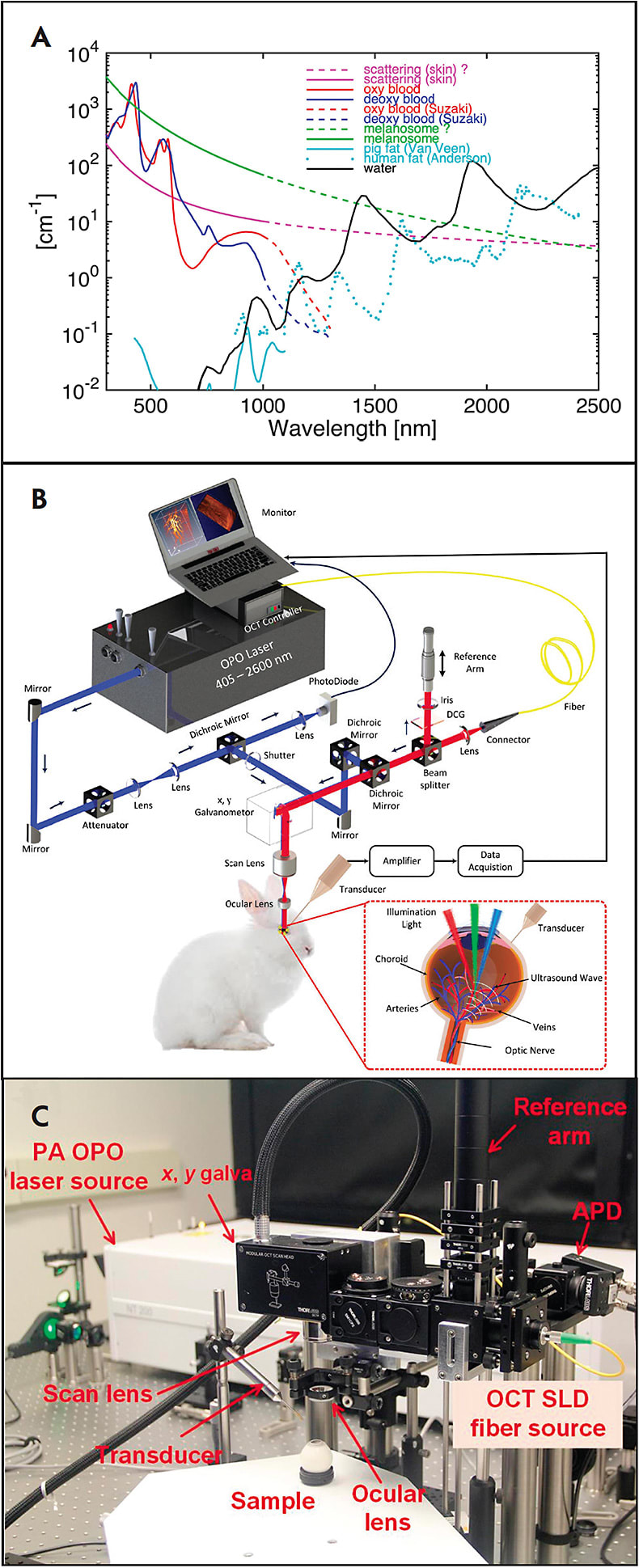 Figure 1. Multimodal photoacoustic microscopy and optical coherence tomography system for imaging of living rabbit. Absorption spectrum of chromophores (ie, hemoglobin, melanin, and water) (A), schematic diagram of optical scanning showing the ultrasound transducer position and the illumination light that enters the eye and focuses on the retina (B), and physical setup(B).1 Adapted with permission from Tian et al.38