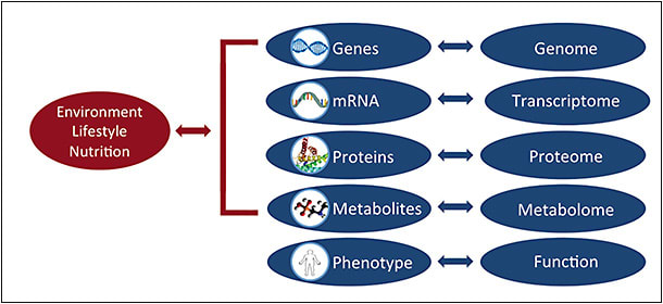 Figure 1.  Schematic representation of ’omics in systems biology. Metabolites and the metabolome are downstream of genetic transcription and translation, and they are affected by environmental exposures, lifestyle, and nutrition.