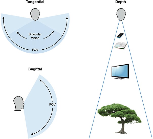 Figure 1. Spatial awareness depends on two critical elements of the visual system: visual field and depth perception.