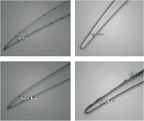 Figure 1. Edge shape and thickness differences of four different soft contact lenses.