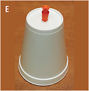 Figure 10. (E) Patients can make their own scleral lens stand by placing the plunger in a hole in the bottom of a styrofoam coffee cup.Image courtesy of Dr. Fayiz Mahgoub