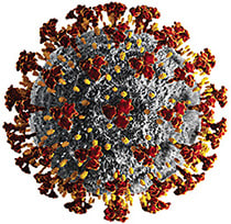 Figure 1. Graphic representation of Severe Acute Respiratory Syndrome Coronavirus-2 (SAR-CoV-2). peterschreiber.media/stock.adobe.com