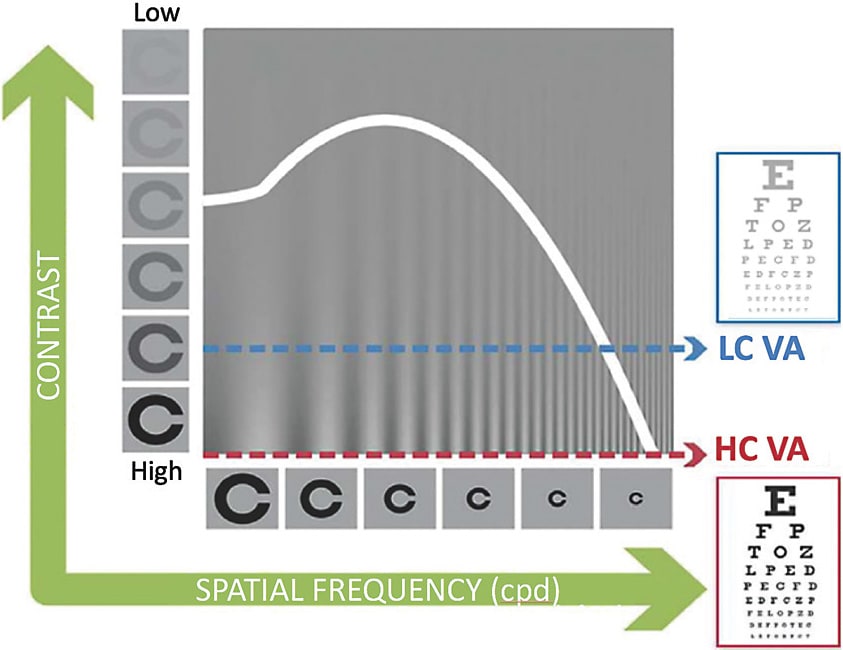 Figure 1. Contrast sensitivity function.