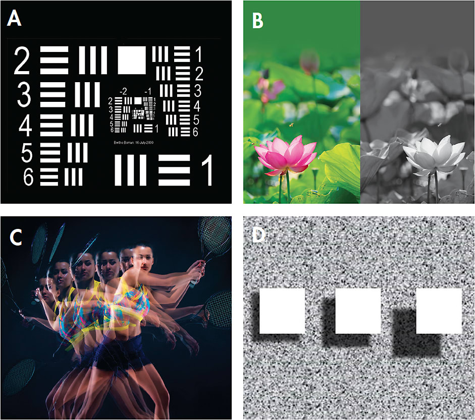 Figure 2. Contributions of the visual system to discriminating efficiency include: (A) resolution, (B) chromatic contrast, (C) motion detection, and (D) stereoacuity.