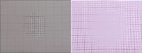 Figures 5 and 6. Simulation of distance (left) and near (right) with progressive add.