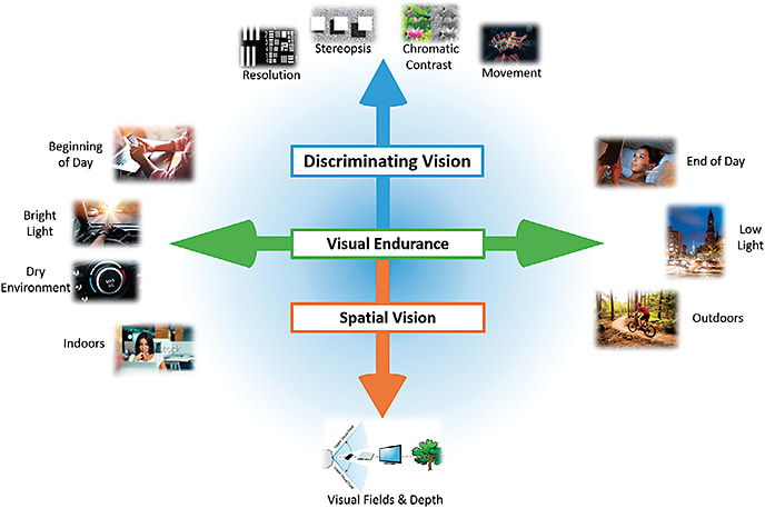 Figure 3. Summary of factors involved in visual satisfaction.