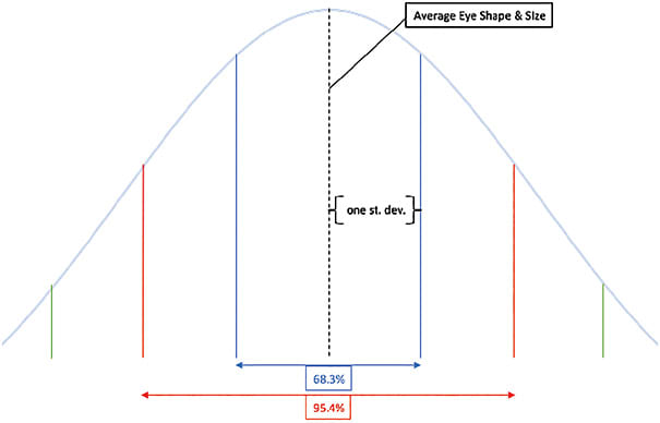 Figure 1. Average eye shape and size are assumed to follow a normal distribution pattern.