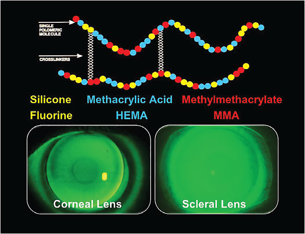 Figure 1. The major components in a fluorosilicone-acrylate GP lens material.