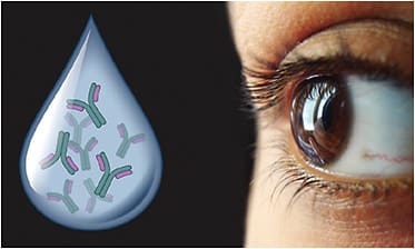 A rendering of the broad-spectrum immunomodulatory eye drop under development. IMAGE COURTESY GAURI’S EYE BY LAUREN KALINOSKI AND SANDEEP JAIN