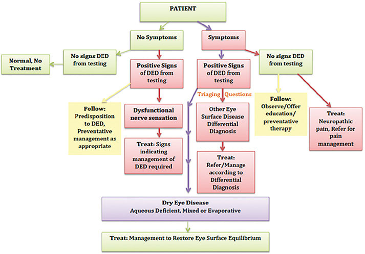 Fig 2. TFOS DEWS II Patient SummaryThis figure originates from the TFOS DEWS II Patient Summary (https://www.tearfilm.org/dettnews-tfos_dews_ii_patient_summary/6814_5519/eng/ ), and is reprinted with permission from TFOS. The figure is a modification of Figure 3 in the Definition and Classification report of TFOS DEWS II (Craig JP, Nichols KK, Akpek EK, et al. TFOS DEWS II Definition and Classification Report. Ocul Surf. 2017 Jul;15(3):276-283. doi: 10.1016/j.jtos.2017.05.008. Epub 2017Jul20 PMID: 28736335)