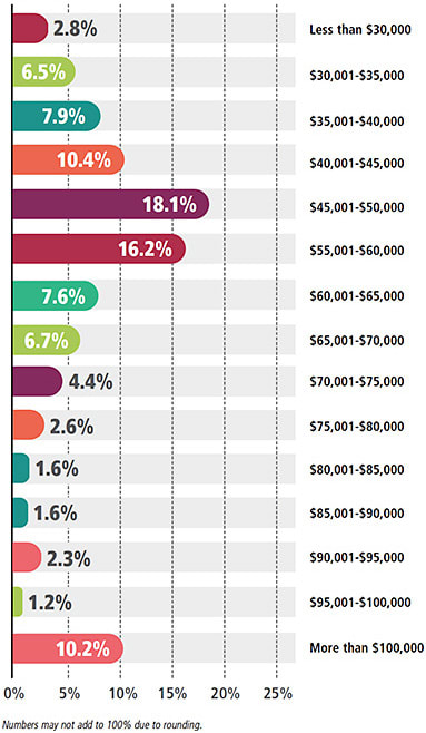 Figure 9. Gross annual income as reported by respondents.
