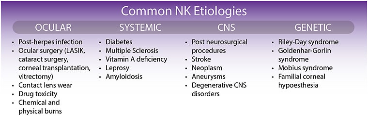 Figure 1. The etiologies of neurotrophic keratitis listed from most common to least common in each category.