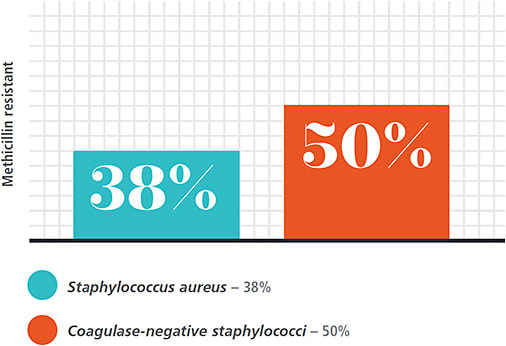 Methicillin resistance in S. aureus and CoNS isolates in ARMOR &amp; Ocular TRUST studies