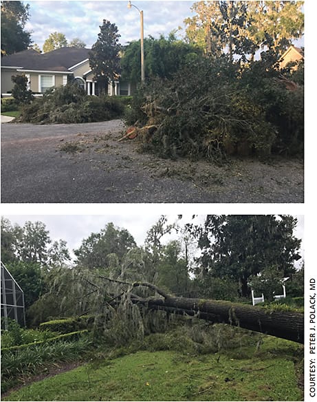 Peter J. Polack, MD, shared these pictures of trees knocked down by Hurricane Irma near his property in Ocala, Fla. Hurricane Irma made landfall in Florida on Sept. 10.