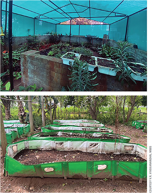 At Aravind Eye Hospital, phaco cassette boxes and other containers are recycled to grow plants in a garden and nursery (top). Organic waste is composted in a special area, becoming fertilizer (bottom). Excess fertilizer and plants from the nursery are sold; this revenue offsets the gardener’s salary.
