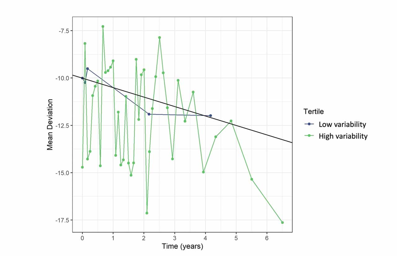 Figure. Two simulated patients with the same baseline mean deviation and same rate of progression. More testing is required for the patient with high variability (green) than for the patient with low variability (blue).