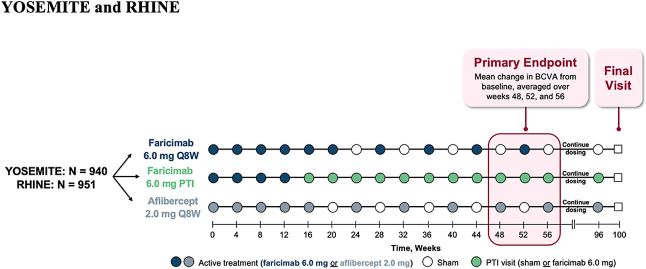 Yosemite/Rhine trial design where patients were randomized 1:1:1 to the three treatment arms.15 Image courtesy: Genentech