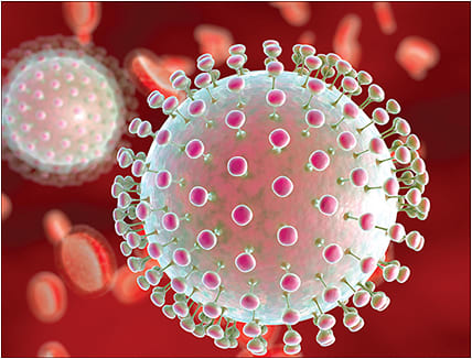 Zika virus up close.