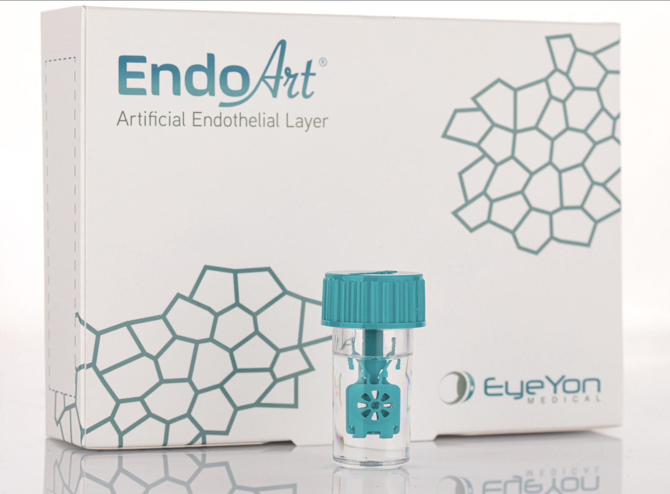 EndoArt synthetic endothelial layer.
