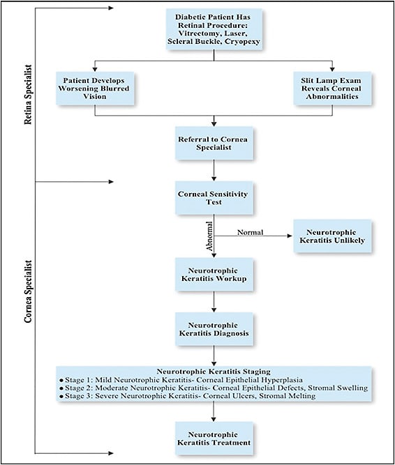 Figure 2. Proposed approach for diabetic patients following retinal procedures who are suspected of developing neurotrophic keratitis. Any patient suspected of having neurotrophic keratitis following a retina procedure should be referred to a cornea specialist for a full evaluation including corneal sensitivity testing, eyelid evaluation, fluorescein staining, and tear function testing.8,9