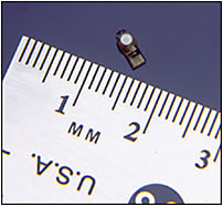 Figure 3. The 0.59 mg fluocinolone acetonide implant (Retisert; Bausch + Lomb).